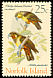 Norfolk Kaka Nestor productus â€   1970 Birds 