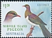 New Zealand Pigeon Hemiphaga novaeseelandiae  2023 Lost birds of Norfolk Island 