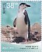 Chinstrap Penguin Pygoscelis antarcticus  2018 Bouvet Island 2v set, sa