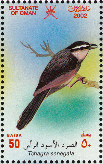 Oman bird stamps - mainly images - gallery format