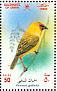 RÃ¼ppell's Weaver Ploceus galbula  2002 Birds in Oman Sheet