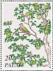 Palau Fruit Dove Ptilinopus pelewensis  1997 Palaus avian environment 12v sheet