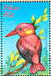 Rufous-backed Dwarf Kingfisher Ceyx rufidorsa  2001 Birds of Palau Sheet