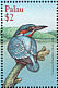 Common Kingfisher Alcedo atthis  2001 Birds of Palau  MS