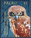 Tasmanian Boobook Ninox leucopsis  2014 Owls Sheet