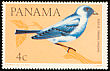 Blue-grey Tanager Thraupis episcopus  1965 Birds 