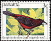 Crimson-backed Tanager Ramphocelus dimidiatus  1981 Birds 