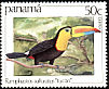 Keel-billed Toucan Ramphastos sulfuratus  1981 Birds 