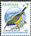 Palawan Sunbird Cinnyris aurora  2009 Birds 