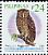 Philippine Eagle-Owl Ketupa philippensis  2010 Birds 