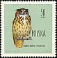 Eurasian Eagle-Owl Bubo bubo  1960 Birds 