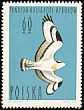 Osprey Pandion haliaetus  1964 Birds 