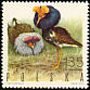 Ruff Calidris pugnax  1970 Game birds 