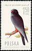 Red-footed Falcon Falco vespertinus  1975 Birds of prey 