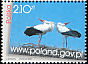 White Stork Ciconia ciconia  2003 Internet panorama of Poland 