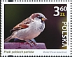 House Sparrow Passer domesticus  2022 Birds of Polish parks 
