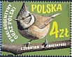 Crested Tit Lophophanes cristatus  2022 Joint issue with Argentina 