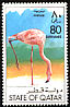 American Flamingo Phoenicopterus ruber  1976 Birds 