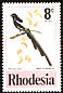 Magpie Shrike Lanius melanoleucus  1977 Birds of Rhodesia 