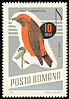Red Crossbill Loxia curvirostra  1966 Song birds 