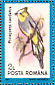 Long-tailed Silky-flycatcher Ptiliogonys caudatus  1991 Birds Sheet