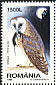 Western Barn Owl Tyto alba  1998 Night birds Booklet