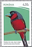 Black-and-red Broadbill Cymbirhynchus macrorhynchos  2023 International Bird Day 