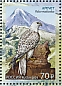 Gyrfalcon Falco rusticolus