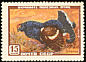 Black Grouse Lyrurus tetrix  1957 Russian wildlife 6v set