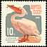 Great White Pelican Pelecanus onocrotalus  1964 Moscow Zoo 7v set