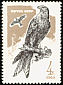 Red Kite Milvus milvus  1965 Birds of prey 