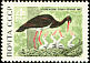 Black Stork Ciconia nigra  1969 Belovezhskaya Pushcha nature reserve 5v set
