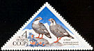 Caucasian Snowcock Tetraogallus caucasicus  1973 Caucasus and Voronezh nature reserves 5v set