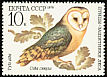 Western Barn Owl Tyto alba  1979 Birds 