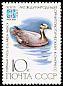 Bar-headed Goose Anser indicus  1982 International ornithological congress 