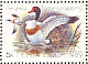 Common Shelduck Tadorna tadorna  1989 Ducks Sheet
