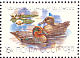 Eurasian Teal Anas crecca  1989 Ducks Sheet