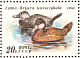 Ruddy Duck Oxyura jamaicensis  1991 Ducks Sheet