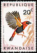 Southern Red Bishop Euplectes orix  1967 Birds of Rwanda 