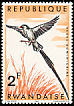 Pin-tailed Whydah Vidua macroura  1967 Birds of Rwanda 