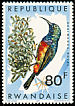 Regal Sunbird Cinnyris regius  1967 Birds of Rwanda 