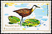African Jacana Actophilornis africanus  1975 Aquatic birds 