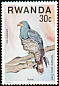 African Harrier-Hawk Polyboroides typus  1977 Birds of prey 