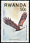 African Fish Eagle Icthyophaga vocifer  1977 Birds of prey 