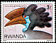Black-casqued Hornbill Ceratogymna atrata  1980 Birds 