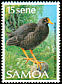 Samoan Woodhen Gallinula pacifica â€   1988 Birds 