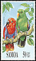 Moluccan Eclectus Eclectus roratus  1991 Parrots 