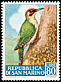 European Green Woodpecker Picus viridis  1960 Birds 