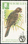 Seychelles Black Parrot Coracopsis barklyi  1976 Ornithological congress 