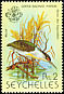 Striated Heron Butorides striata  1979 Birds 